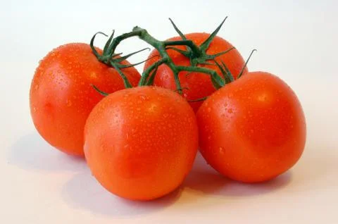 Tomatos Stock Photos