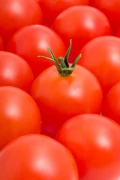 Tomatos Stock Photos