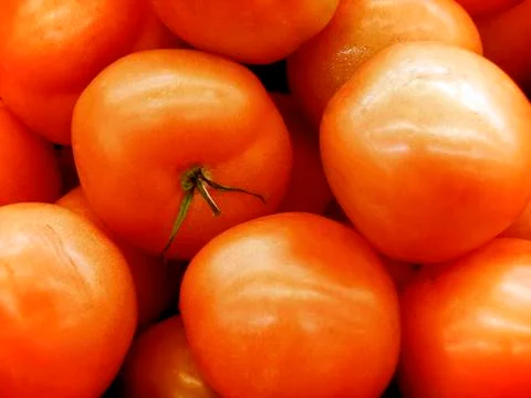 Tomatos Stock Photos