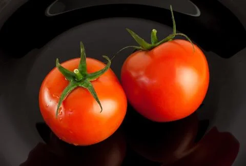 Tomatos Stock Photos