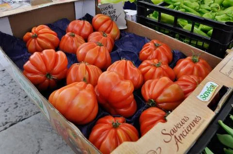 Tomatos Stock Photos