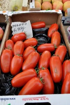 Tomatos Stock Photos
