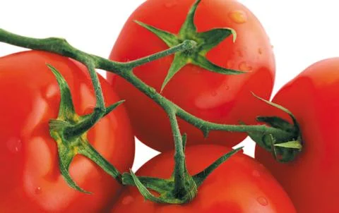 Tomatos Stock Photos