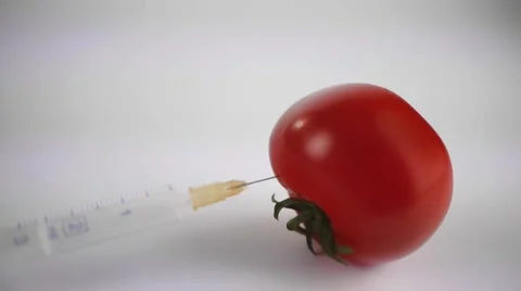 Tomatos with syringe passing Stock Footage 1961856