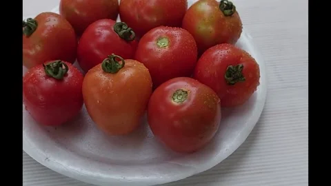 Tomatto on white plate Video stock 278166902