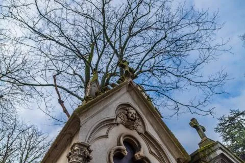 Tomb Stock Photos