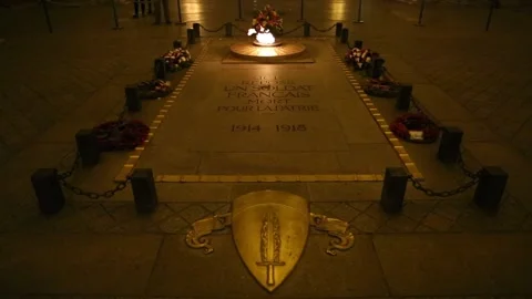 Tomb of the Unknown Soldier (Tombe du Soldat Inconnu) Stock Footage 203387795