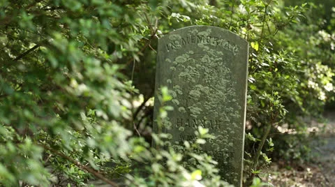 Tombstone In Bushes Stock Footage 26602119