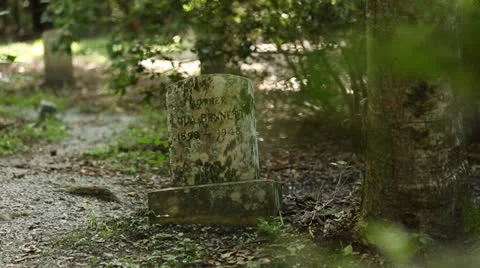 Tombstone In Woods Stock Footage 26602082