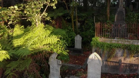 Tombstones in an overgrown graveyard Vidéo 130566570