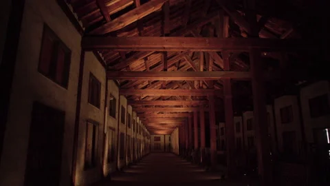 Tomioka Kotobu's internal cocoon Stock Footage 161862653