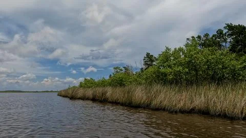 Tomoka State Park, Ormond Beach, Florida Stock Photos