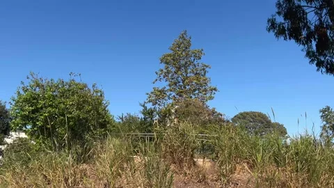 Tomol Interpretive Play Area Entry Sign - Pan Down Stock-Footage 200020777