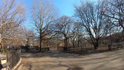 Tompkins Square Park NYC Stock Footage 124750732