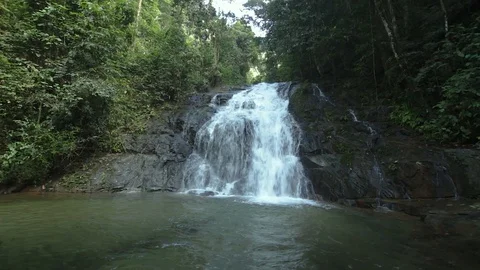 Ton Chong Fa,in the forest tropical zone ,national park Takua pa Phang Nga Th Stock Footage 110706625