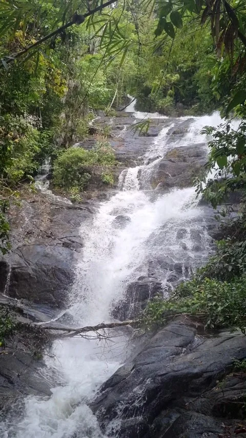 Ton Chong Fa Waterfall is a five-tiered waterfall located in Khao Lak Stock Footage 318814012
