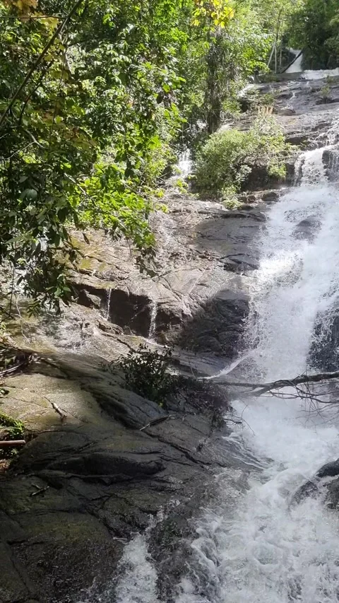Ton Chong Fa Waterfall is a five-tiered waterfall located in Khao Lak Stock Footage 318814024