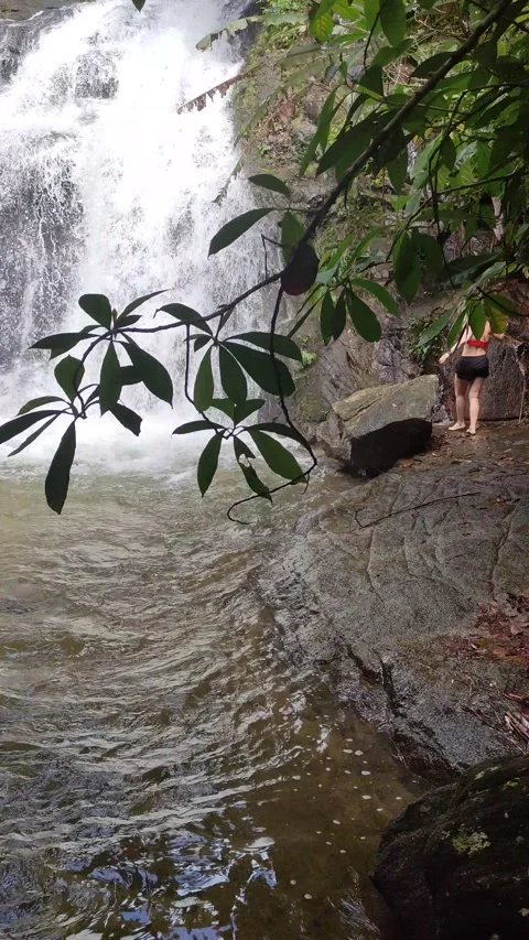 Ton Chong Fa Waterfall waterfall in Khao Lak-Lam Ru National Park Stock Footage 318814706