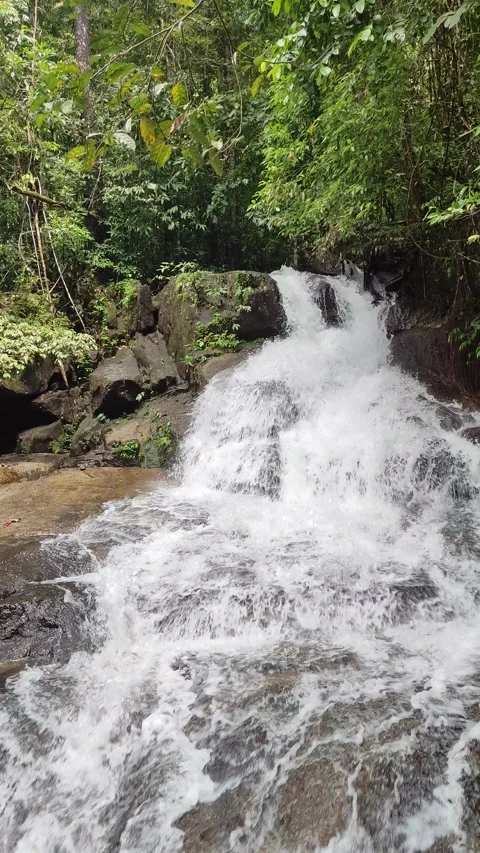 Ton Chong Fa Waterfall waterfall in Khao Lak-Lam Ru National Park Stock Footage 318814724