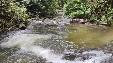 Ton Chong Fa Waterfall waterfall in Khao Lak-Lam Ru National Park Stock Footage 318814737