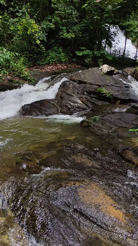 Ton Chong Fa Waterfall waterfall in Khao Lak-Lam Ru National Park Stock Footage 318814740