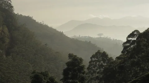 Tonal perspective of mountains Vidéo 41159601