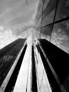 Tonal Reflections Stock Photos