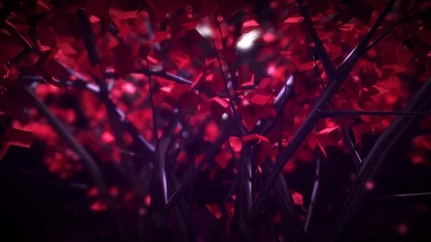 Tonal Tree Looping Animation Stock Footage 73611001
