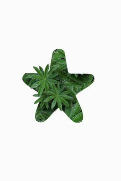 The tone mode is an asterisk isolated on a white background. Stock Illustration