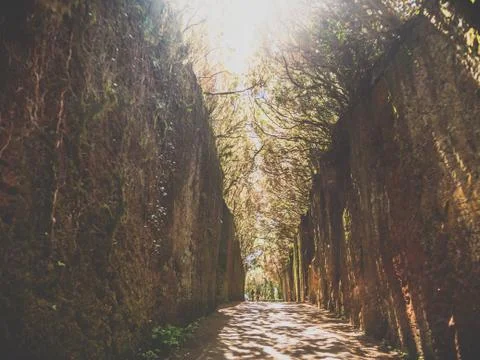 Toned image of narrow path in the old mountains at laurel forest of Anaga Stock Photos