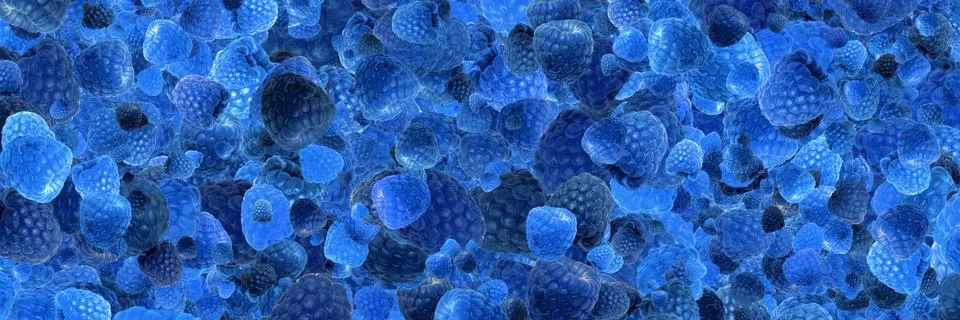 Toned raspberry panoramic Stock Photos