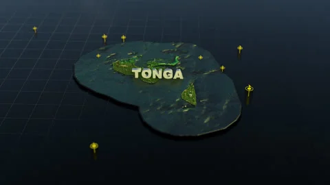 Tonga 3D Map With Animation Stock Footage 311333290