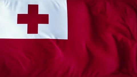TONGA COUNTRY FLAG Stock Footage 282413000