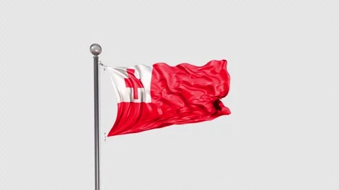 Tonga Flag  Animation Loop Include Alpha 3D Rendering Stock-Footage 312110241