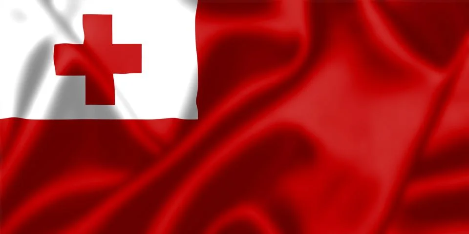 Tonga flag blowing in the wind Stock Illustration