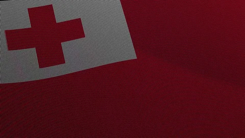 Tonga Flag Digital Particle Waving Seamless Loop Animation Stock Footage 339303549