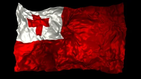 Tonga flag Stock Footage 110860721