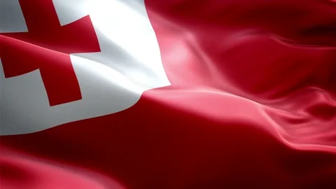 Tonga Flag Stock Footage 116403938