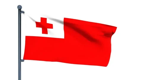 Tonga Flag Stock Footage 150541467