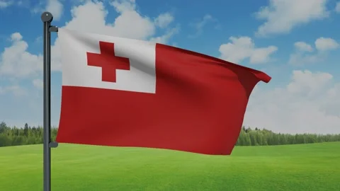 Tonga Flag Stock Footage 153256482