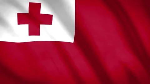 Tonga Flag Stock Footage 188172912