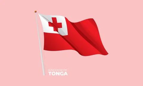 Tonga flag Stock Illustration