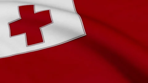 Tonga Flag Loop Stock Footage 241217121