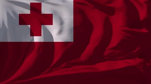 Tonga Flag Loop Stock Footage 295742631