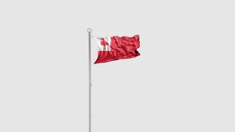  Tonga   Flag Pole  Animation Include Alpha 3D Rendering Stock-Footage 282998165