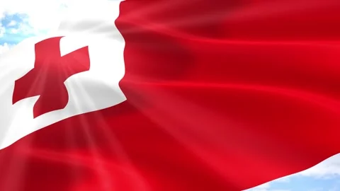 Tonga Flag Seamless Loop 4k 60fps on Sky Background Stock Footage 341553053