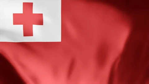 Tonga flag is waving 3D seamless loop animation footage 4k. Stock Footage 256307060