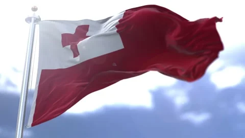 Tonga flag waving against the sky Stock Footage