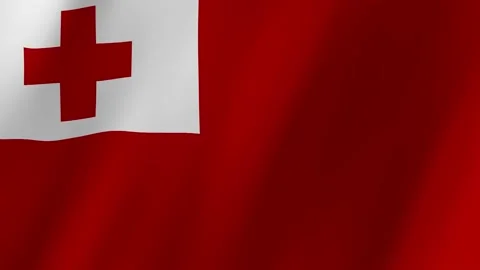 Tonga flag waving animation Vídeo Stock 222844903