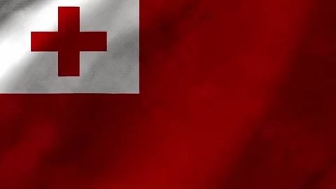 Tonga flag waving background with real fabric texture Stock Footage 292948230